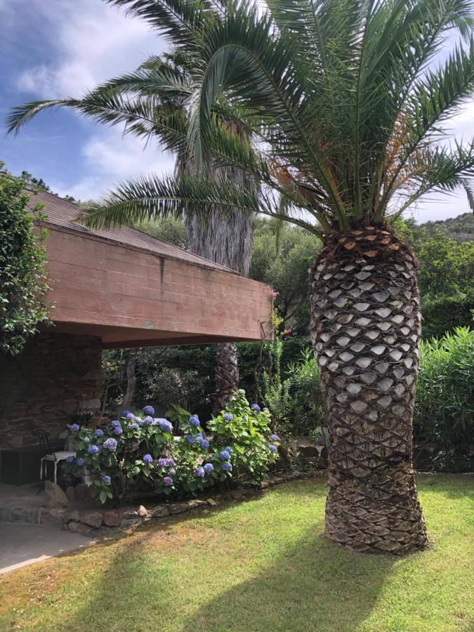Villa 4 Porto Rotondo Eksteriør billede